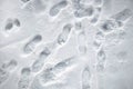 Shoeprints in snow. walking in the snow. footprints in the snow. Light gray and white background.