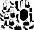 Shoes and bags isoated on white