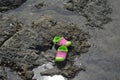 Shoes on the beach Royalty Free Stock Photo