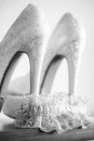 Shoes and Bridal pink Garter BW Royalty Free Stock Photo