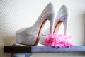 Shoes and Bridal pink Garter