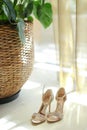 Shoes of bride standing near basket with housepant. Royalty Free Stock Photo