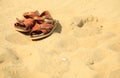 Shoes. Brown leather sandals on a sandy beach. Summertime. Royalty Free Stock Photo