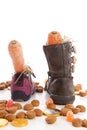 Shoes with carrots and ginger nuts for Sinterklaas, a typical Du Royalty Free Stock Photo