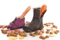 Shoes with carrots and ginger nuts for Sinterklaas, a typical Du Royalty Free Stock Photo
