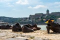 Shoes on the Danube Bank in Budapest, Hungary. Royalty Free Stock Photo