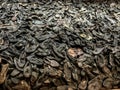 Shoes display at the United States Holocaust Memorial Museum Royalty Free Stock Photo