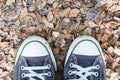 Shoes on dried leaves ground