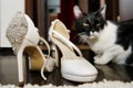 Elegant white wedding shoes. Cat in background Royalty Free Stock Photo