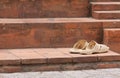 Shoes at the entrance of a mosque Royalty Free Stock Photo