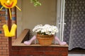 Shoes and Flower Basket Royalty Free Stock Photo