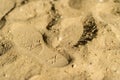 Shoes on foot print on sand beach