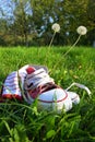 Shoes on grass