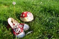 Shoes and helmet on grass