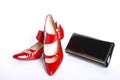 Shoes on a high heel and handbag Royalty Free Stock Photo