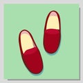 Shoes isolated. Fashionable shoes illustration. Children sandals