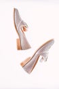 Shoes made out of silver leather on white background, isolated. Female footwear concept. Footwear for women on flat sole