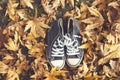 Shoes nature fashion, nature, natural with nature leafs