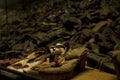 Shoes from people who were killed concentration camp Auschwitz Birkenau KZ Poland 2