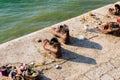 Shoes on the Danube Monument in Budapest Jewish memorial Royalty Free Stock Photo