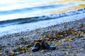 Shoes stand alone on the lake shore Royalty Free Stock Photo