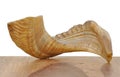 Shofar Royalty Free Stock Photo