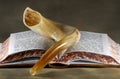 Shofar Royalty Free Stock Photo