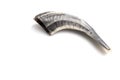 Ram`s Shofar Horn