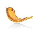 Shofar horn