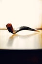 Shofar (ram's horn) Royalty Free Stock Photo