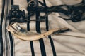 Shofar on a tallit with black stripes, next to tefillin