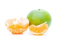 Shogun oranges fruit on white background