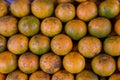 Shogun oranges. The skin slim soft sour flavors are good. Fresh oranges at a local farmers market . Royalty Free Stock Photo