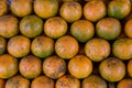 Shogun oranges. The skin slim soft sour flavors are good. Fresh oranges at a local farmers market . Tangerines as the background. Royalty Free Stock Photo