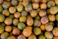 Shogun oranges. The skin slim soft sour flavors are good. Fresh oranges at a local farmers market . Tangerines as the background. Royalty Free Stock Photo