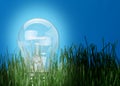 Shone electric lamp in a grass