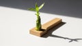 Shoot Bambusoideae is growing from a rectangular wooden block Royalty Free Stock Photo