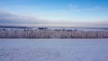 Shooting from a drone in winter forests and fields