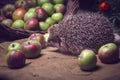 Shooting a hedgehog at night