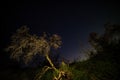 Night Skies at Joshua Tree, Death Valley and Little Tujunga Royalty Free Stock Photo