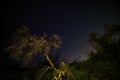 Night Skies at Joshua Tree, Death Valley and Little Tujunga Royalty Free Stock Photo