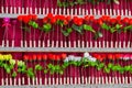 a shooting range with roses on a fairground Royalty Free Stock Photo