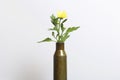 Shooting sleeve from a large-caliber machine gun and a yellow chrysanthemum flower. Establishment of peace.