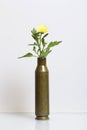 Shooting sleeve from a large-caliber machine gun and a yellow chrysanthemum flower. Establishment of peace.