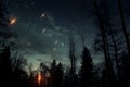 Shooting Stars In The Sky On A Clear Night, A Group Of Trees At Night