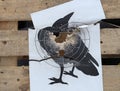 Shooting target close-up, large bullet holes,shooting range Royalty Free Stock Photo