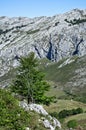 Holidays at Picos de Europa, Asturias, Spain Royalty Free Stock Photo