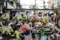 A shop selling citrus fruits in plastic bags is hung on a cart in the streets of Bangkok