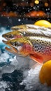 Shop showcase Icy presentation of frozen trout fish
