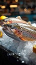 Shop showcase Icy presentation of frozen trout fish